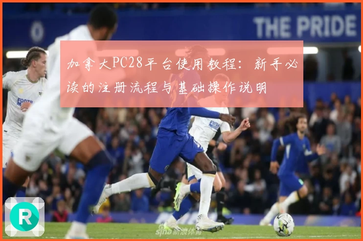 加拿大PC28平台使用教程：新手必读的注册流程与基础操作说明