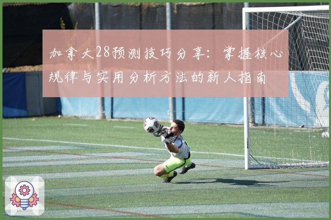 加拿大28预测技巧分享：掌握核心规律与实用分析方法的新人指南