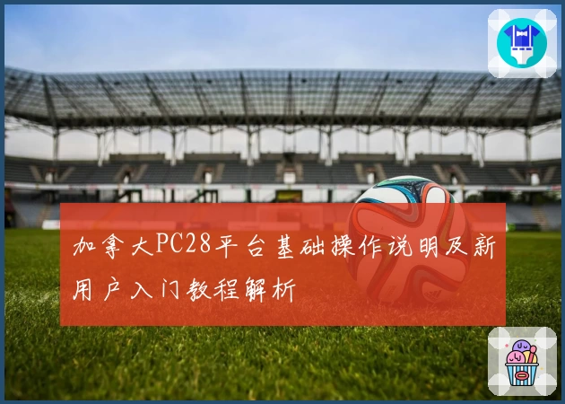 加拿大PC28平台基础操作说明及新用户入门教程解析