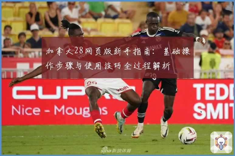 加拿大28网页版新手指南：基础操作步骤与使用技巧全过程解析