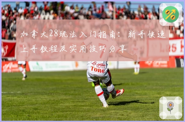 加拿大28玩法入门指南：新手快速上手教程及实用技巧分享