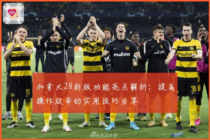 加拿大28新版功能亮点解析：提高操作效率的实用技巧分享