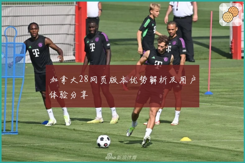 加拿大28网页版本优势解析及用户体验分享