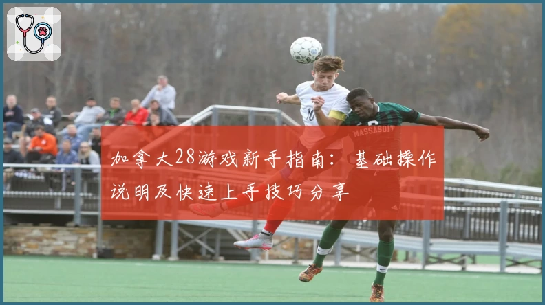 加拿大28游戏新手指南：基础操作说明及快速上手技巧分享