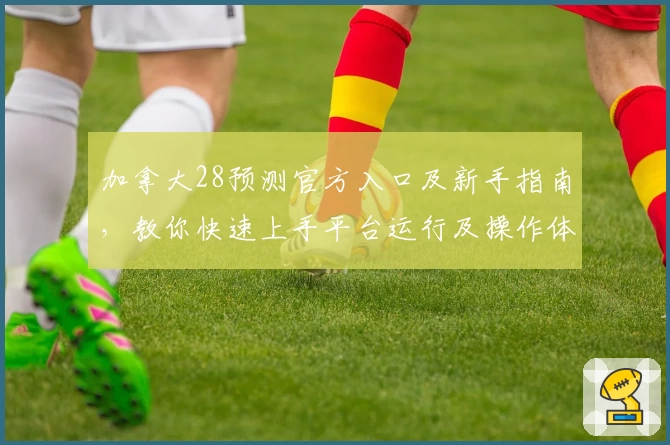 加拿大28预测官方入口及新手指南，教你快速上手平台运行及操作体验