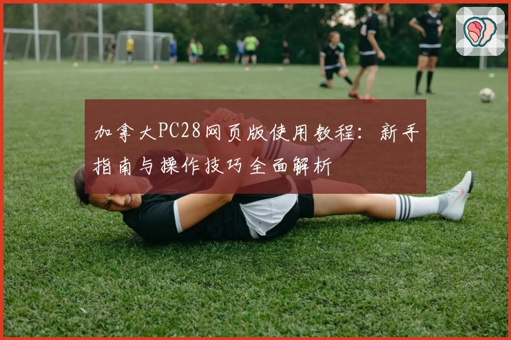 加拿大PC28网页版使用教程:新手指南与操作技巧全面解析