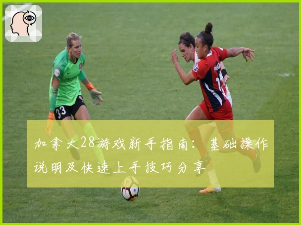 加拿大28游戏新手指南：基础操作说明及快速上手技巧分享