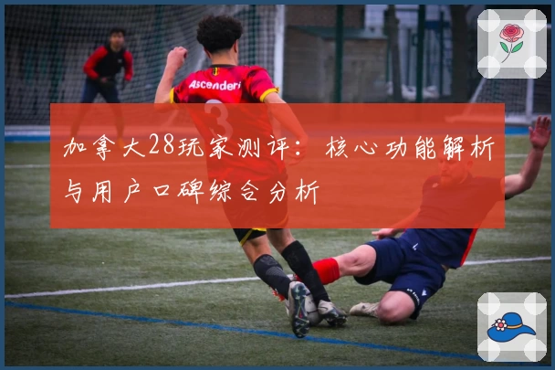 加拿大28玩家测评：核心功能解析与用户口碑综合分析