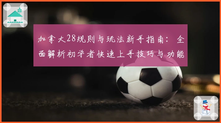 加拿大28规则与玩法新手指南：全面解析初学者快速上手技巧与功能亮点