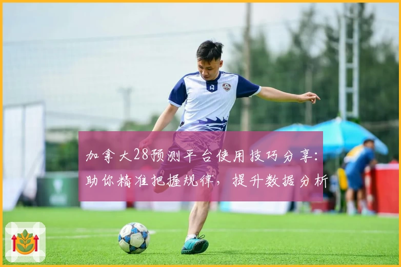 加拿大28预测平台使用技巧分享:助你精准把握规律,提升数据分析效率