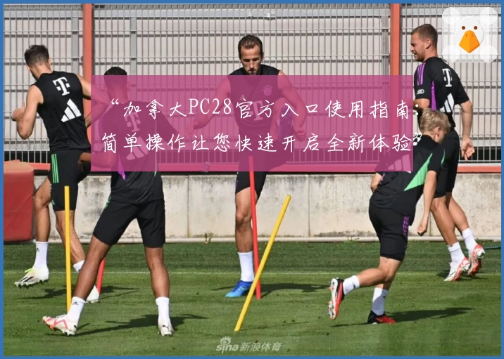 “加拿大PC28官方入口使用指南：简单操作让您快速开启全新体验”