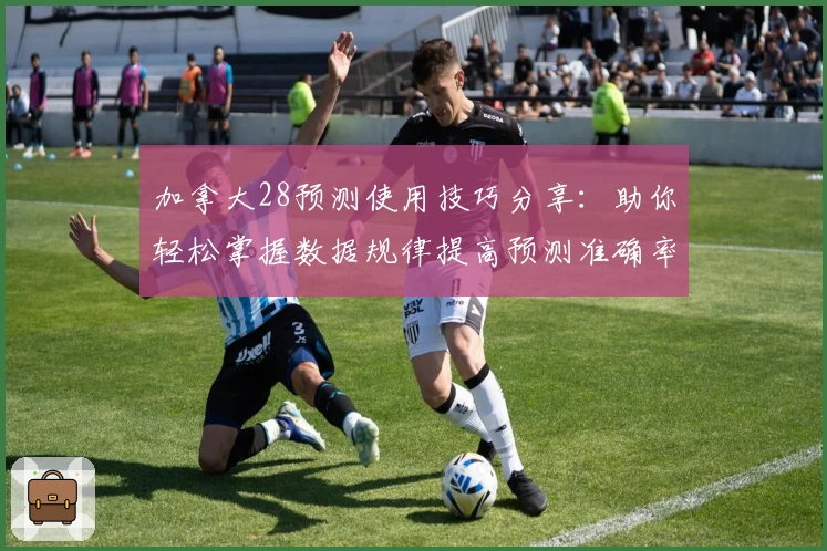 加拿大28预测使用技巧分享：助你轻松掌握数据规律提高预测准确率