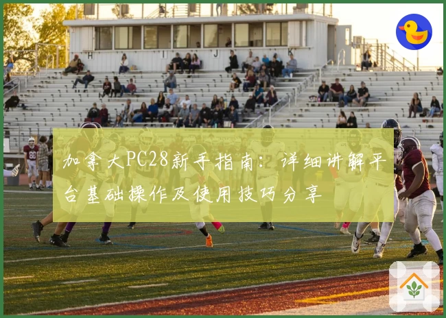 加拿大PC28新手指南：详细讲解平台基础操作及使用技巧分享