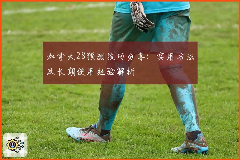 加拿大28预测技巧分享：实用方法及长期使用经验解析